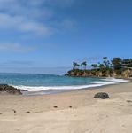 Shaw's Cove