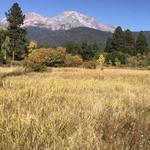 Sisson Meadow