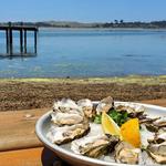 Fishetarian Fish Market