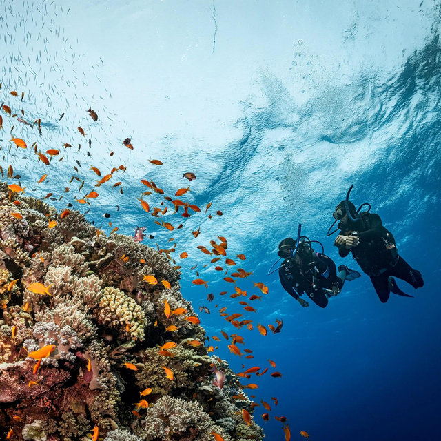 Kelcie’s PADI Certification