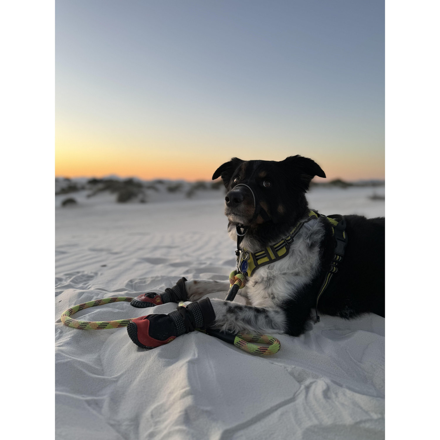 Exploring White Sands National Park, New Mexico.