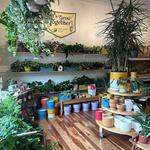 Pups Plants & Goods