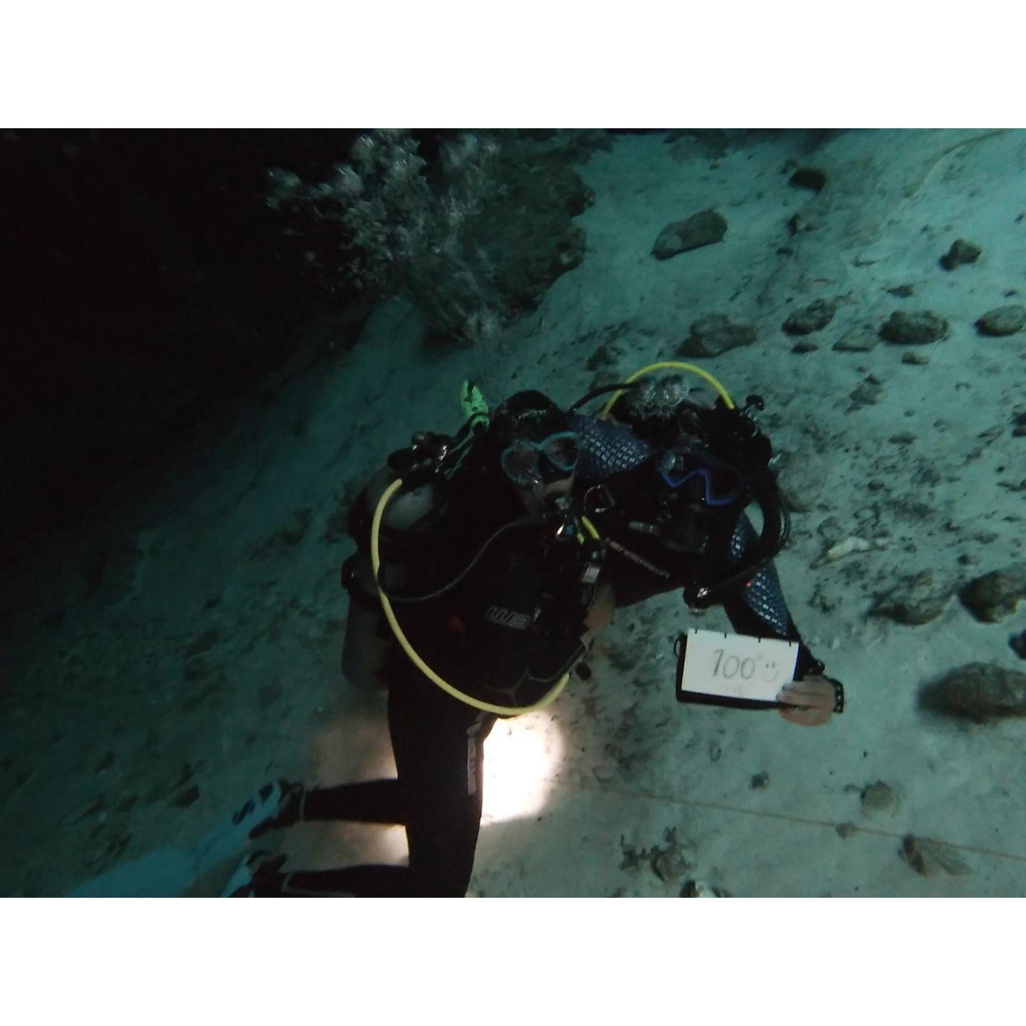 Scuba its what we do and what brought us together