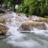 The World Famous Dunn's River Falls & Park