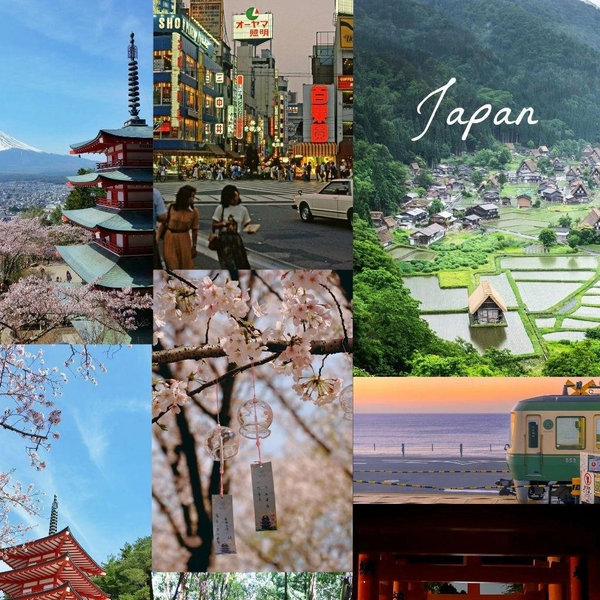 Japan Honeyfund