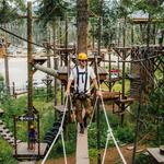 Aerial Adventure Park