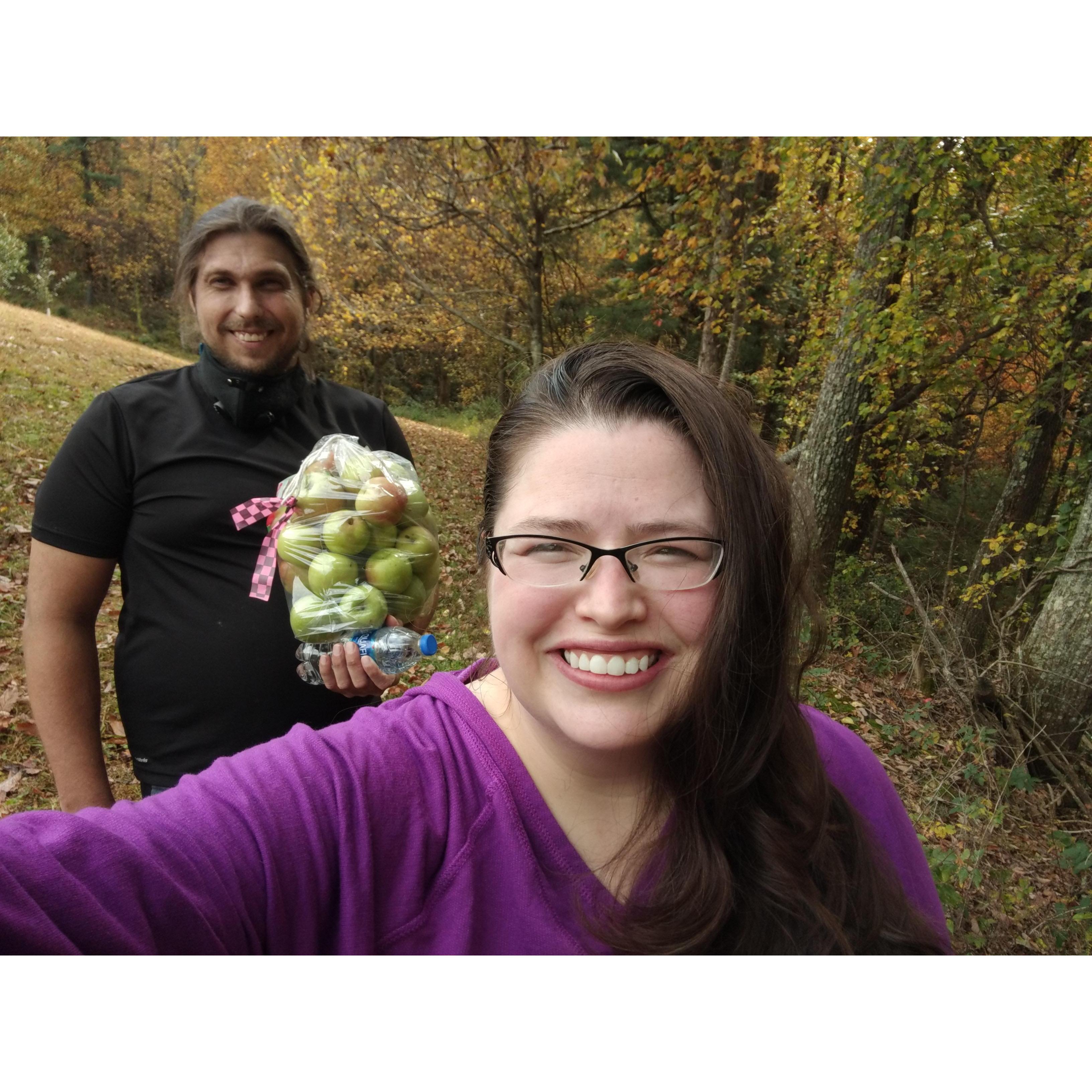 Grabbing some apples for homemade apple pie