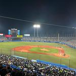 Tokyo Yakult Swallows