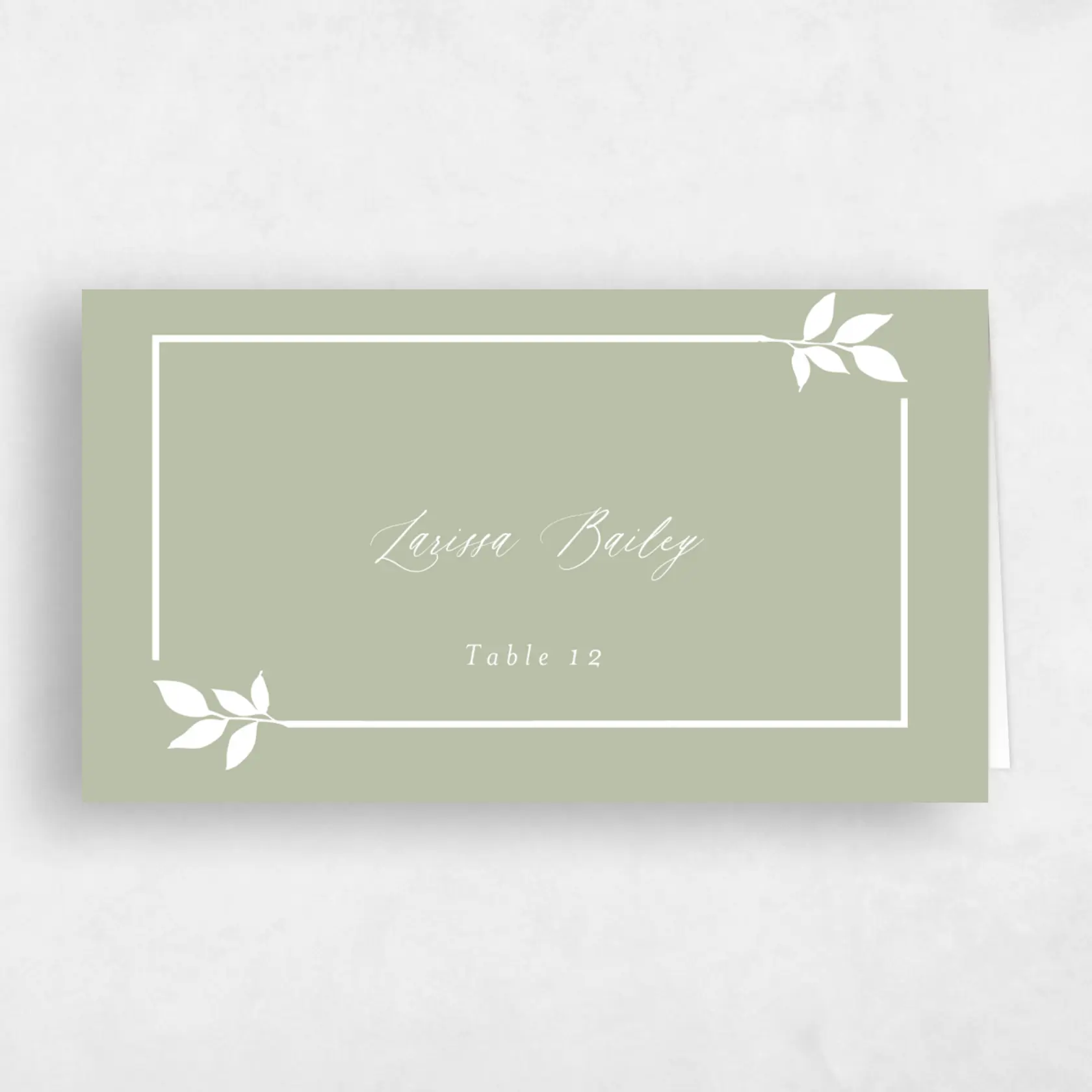 Place Card - Dakota preview
