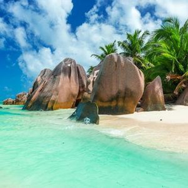 Honeymoon Fund