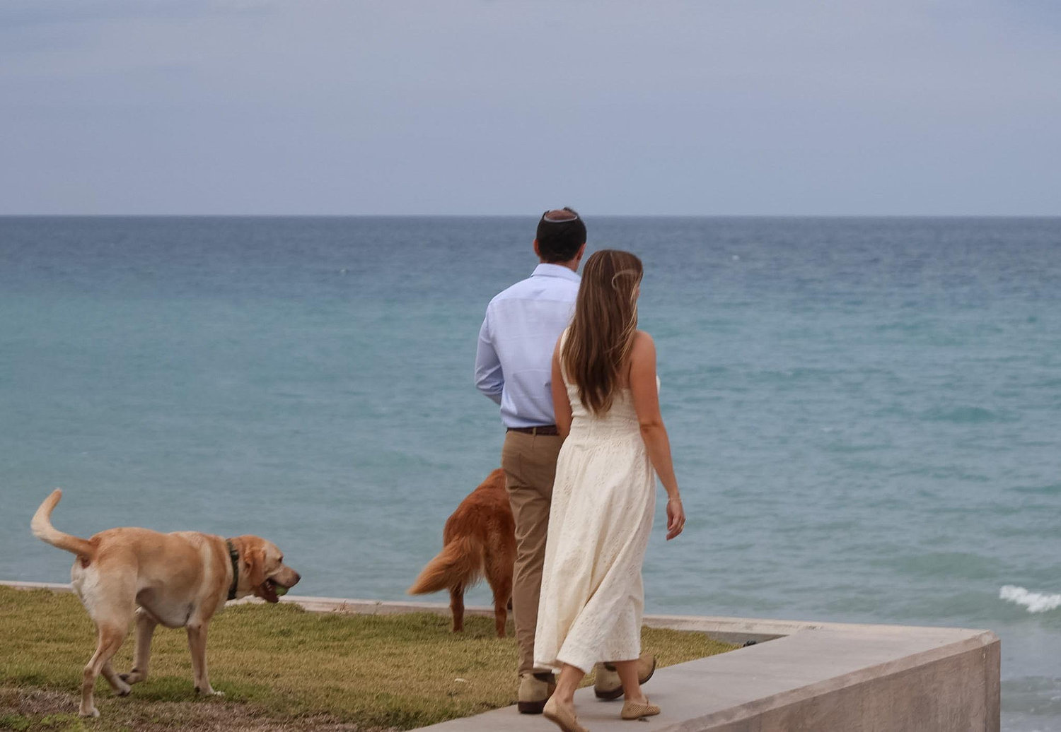 The Wedding Website of Olivia Howson and David Marder