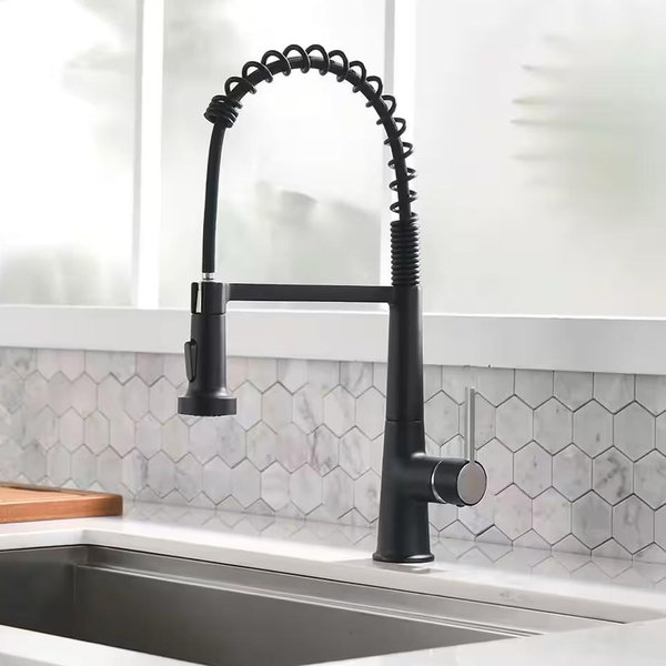 House fund! Kitchen Faucet - Because washing dishes is better with a shiny new faucet.