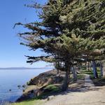 Coyote Point Recreation Area