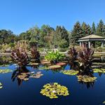Denver Botanic Gardens
