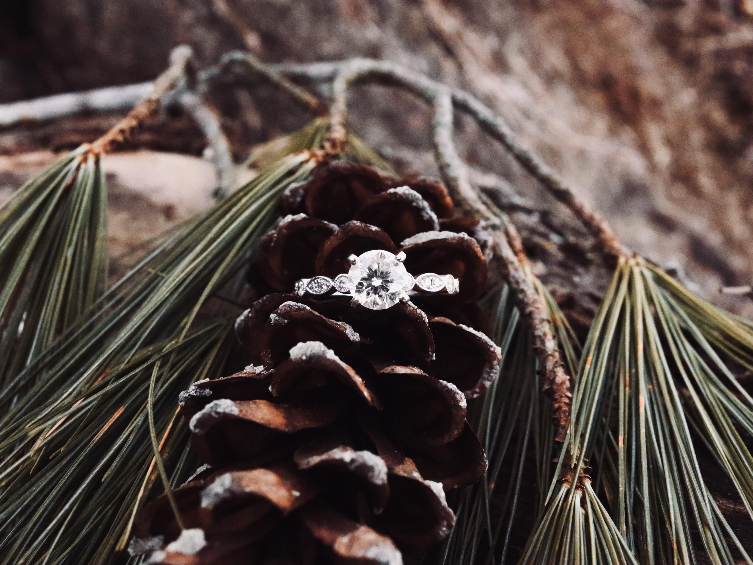 55b7a74a-3196-4f79-9edc-abd4d6839cdd