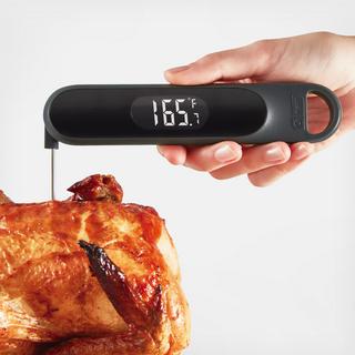 Precision Quick-Read Thermometer