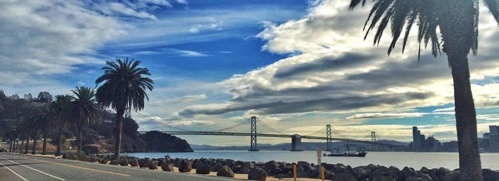 The Wedding Website of Elsa Pong and Matt Esch