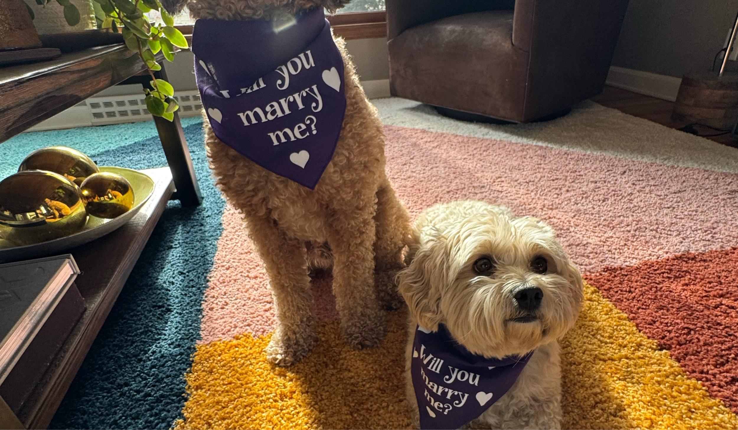 Hero Slideshow Image 1