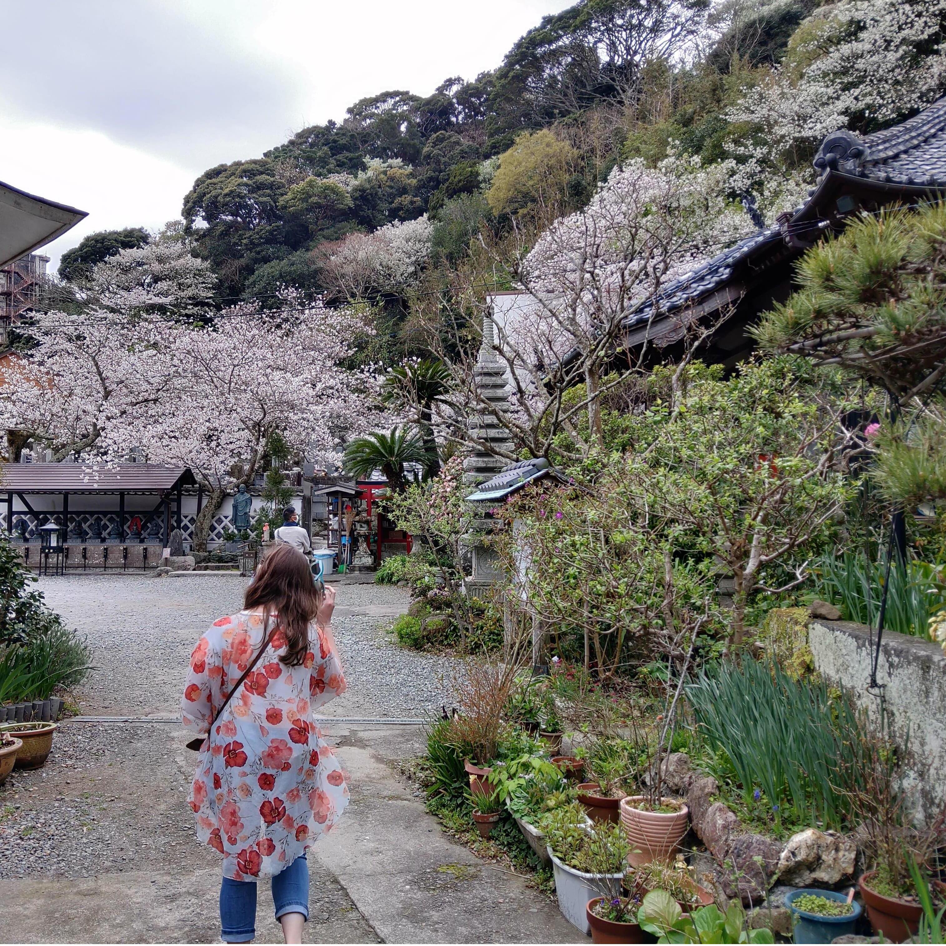 Shimoda, Shizuoka Pref., Japan - March 2021