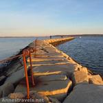 The Jetty