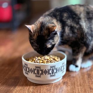 Ceramic Pet Food Bowl