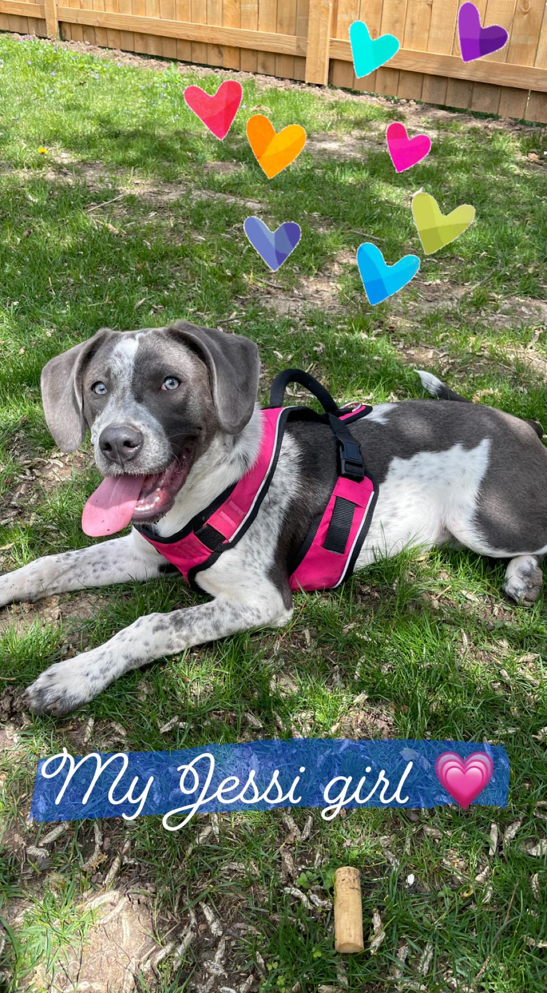 Jessi all grown up and stole our hearts!