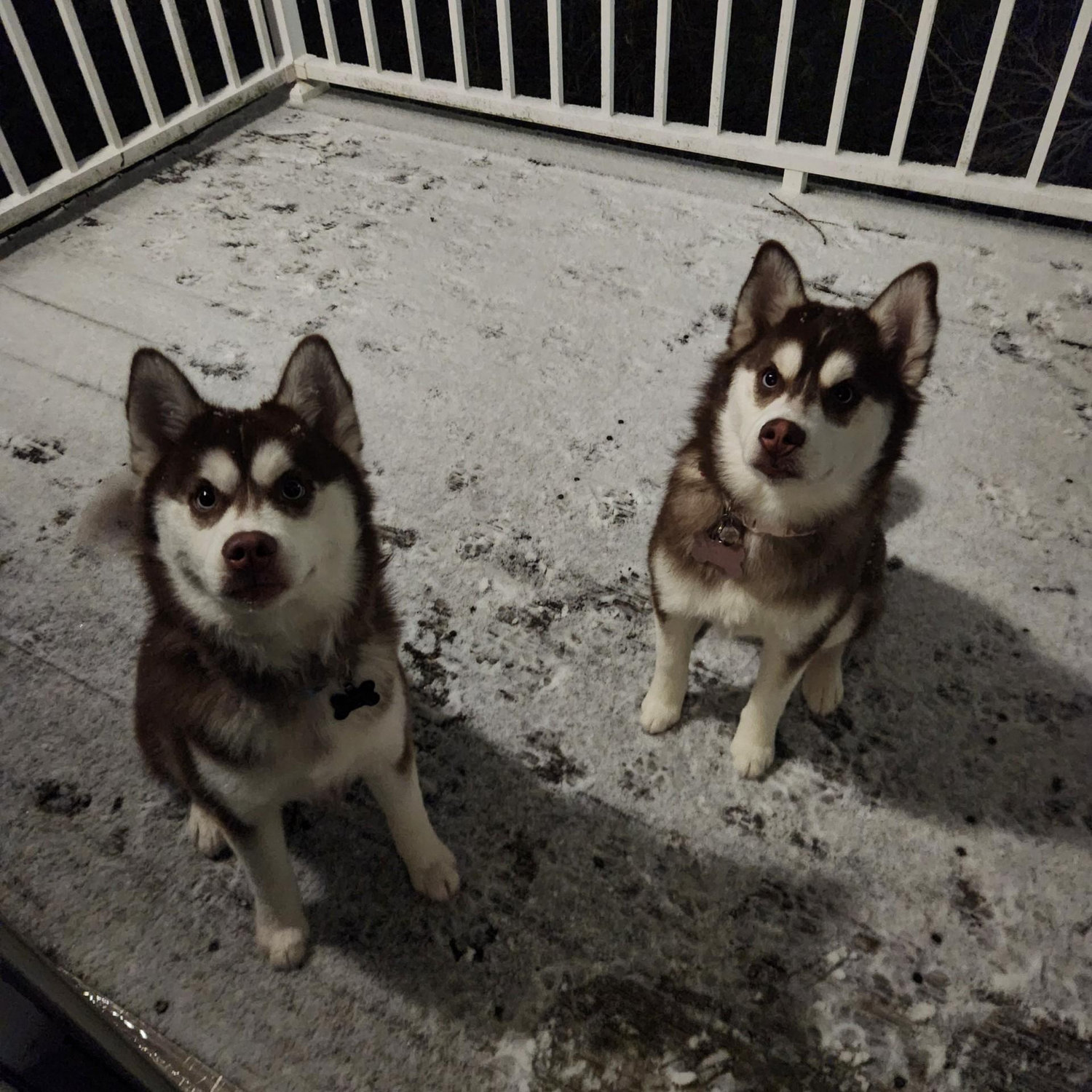 Our first snow experience!