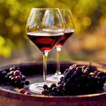 Winery Shuttle from The Lodge at Geneva-on-the-Lake