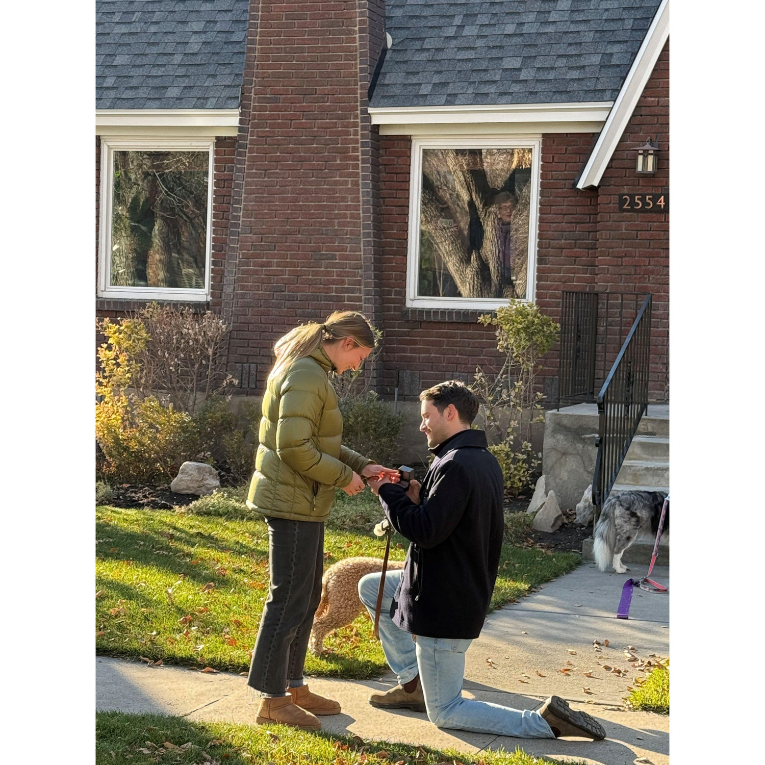 The proposal