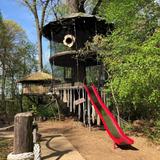 Treehouse World