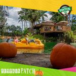 Pinto's Farm