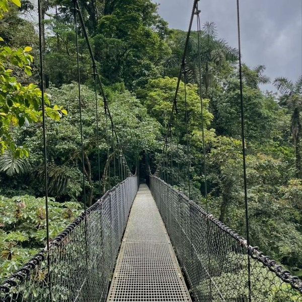 Hanging Bridges Tour