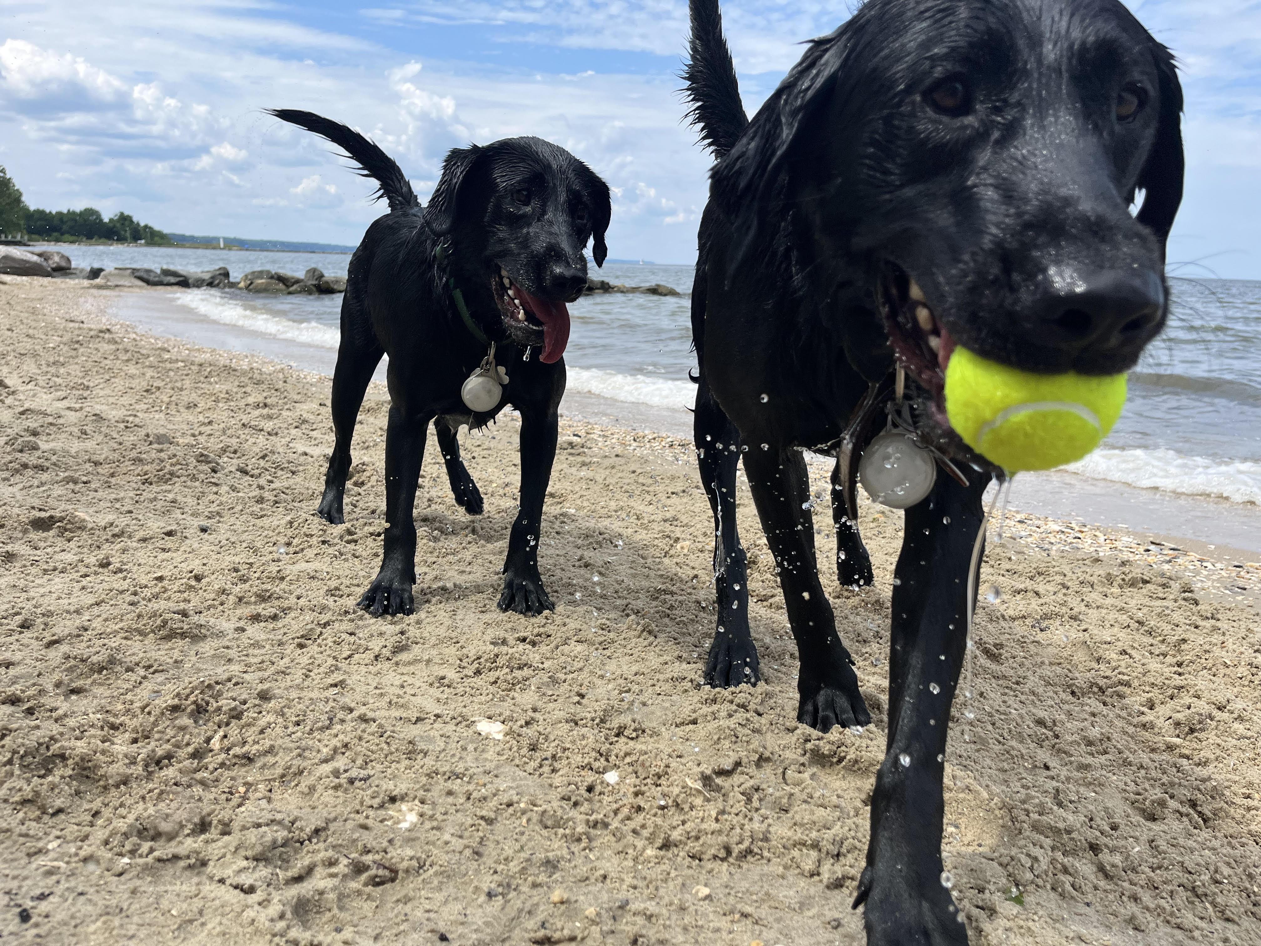 The Wedding Website of Hayley Eckhardt and Will Claytor