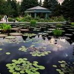 Denver Botanic Gardens