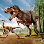BYU Museum of Paleontology