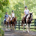 Horseback Riding