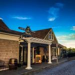 Jerry and The Mermaid