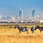 Nairobi National Park