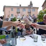 Visit a Vineyard / Wine Tasting