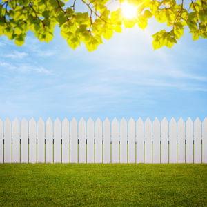 Our Backyard Renovation Fund