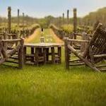 Sakonnet Vineyard