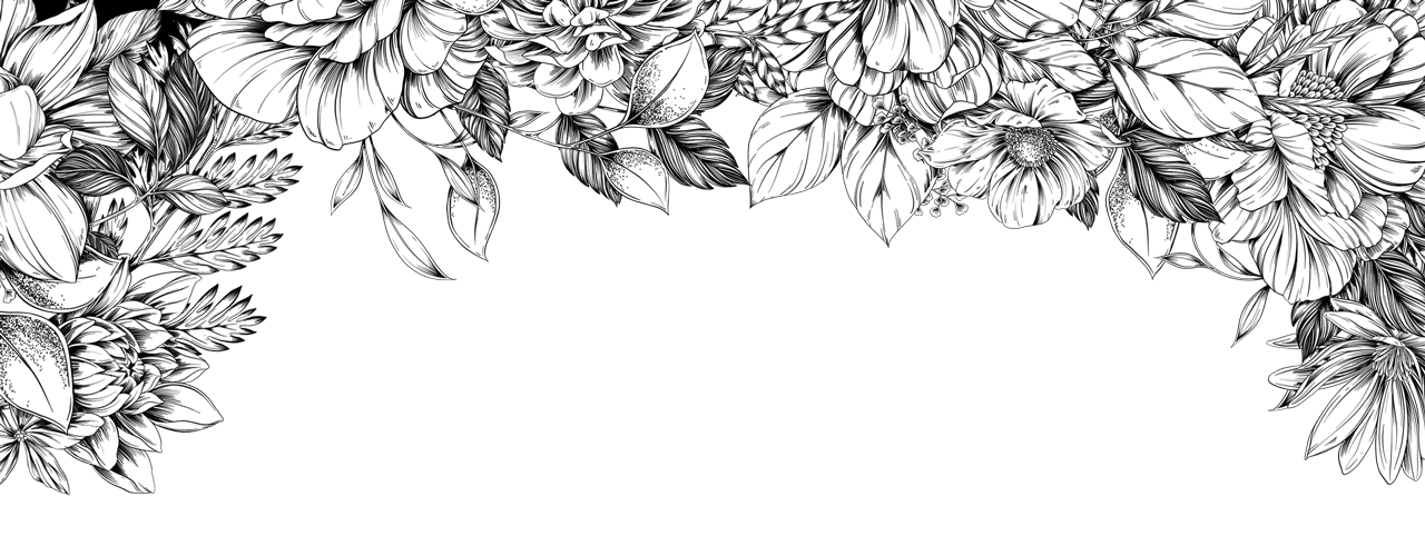 kelly-wadlinger-and-phillip-figueroa-s-wedding-website