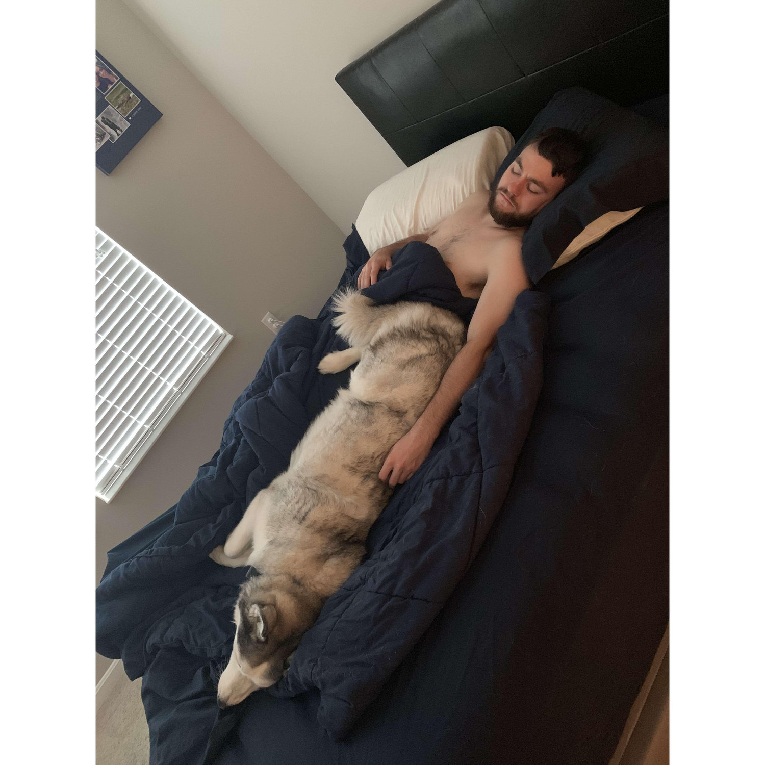 Best Buds