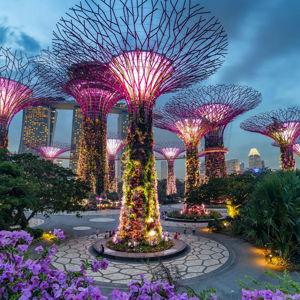 Gardens by the Bay