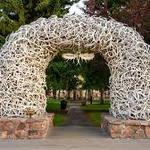 Jackson Hole