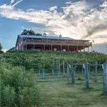 The Vineyard & Brewery at Hershey