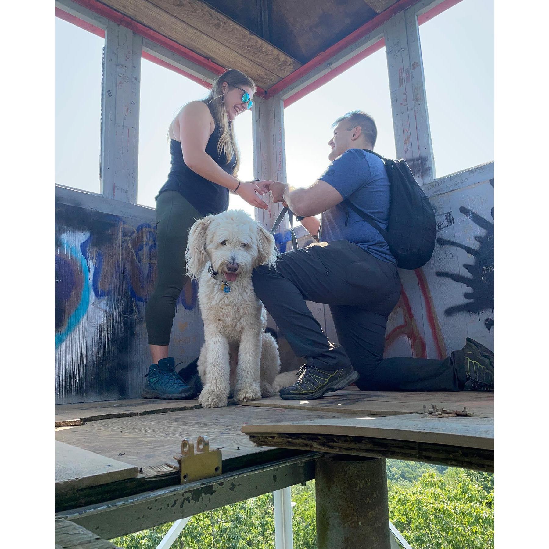 Maj was very excited to have his parents FINALLY be engaged.