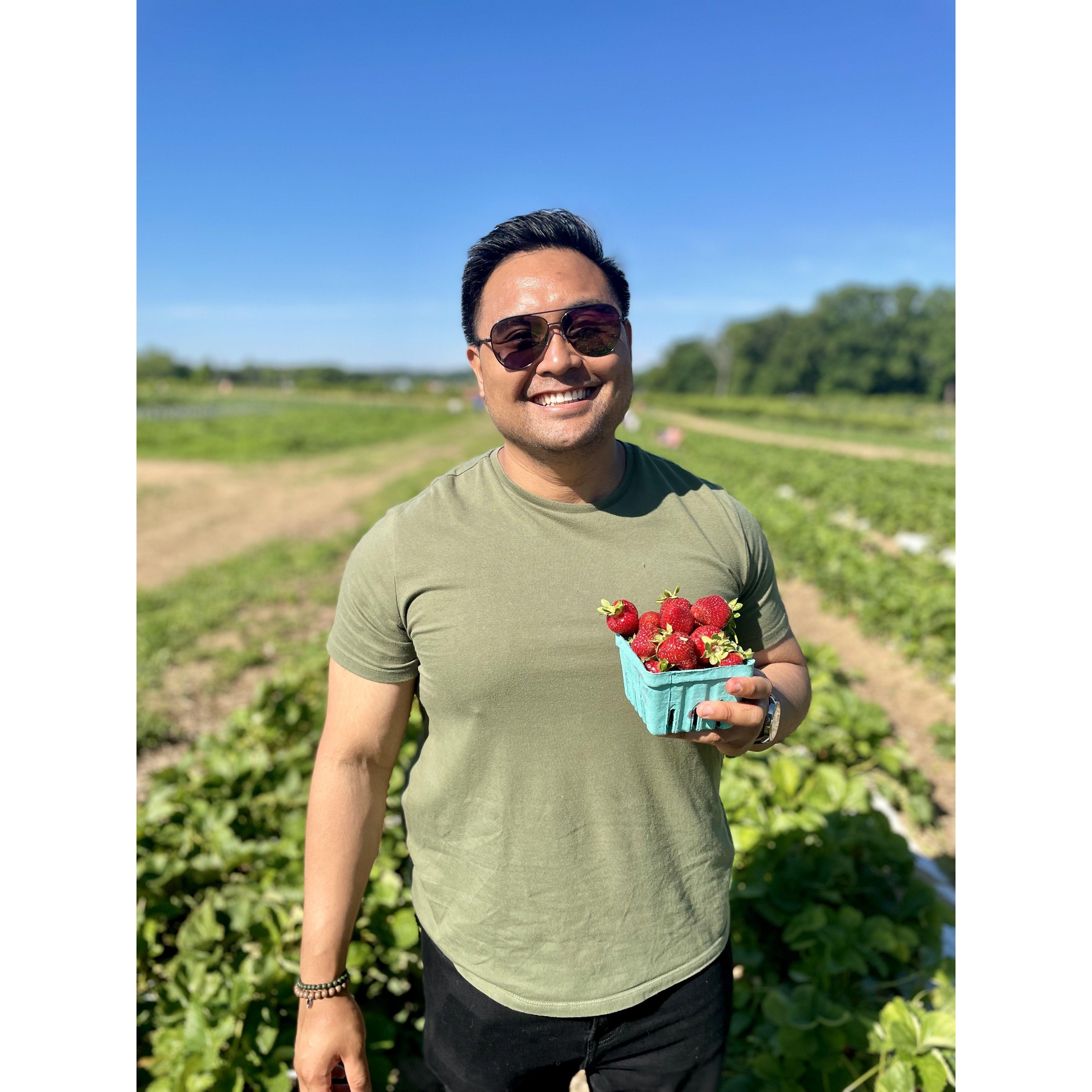 first time strawberry picking at linvilla orchard
