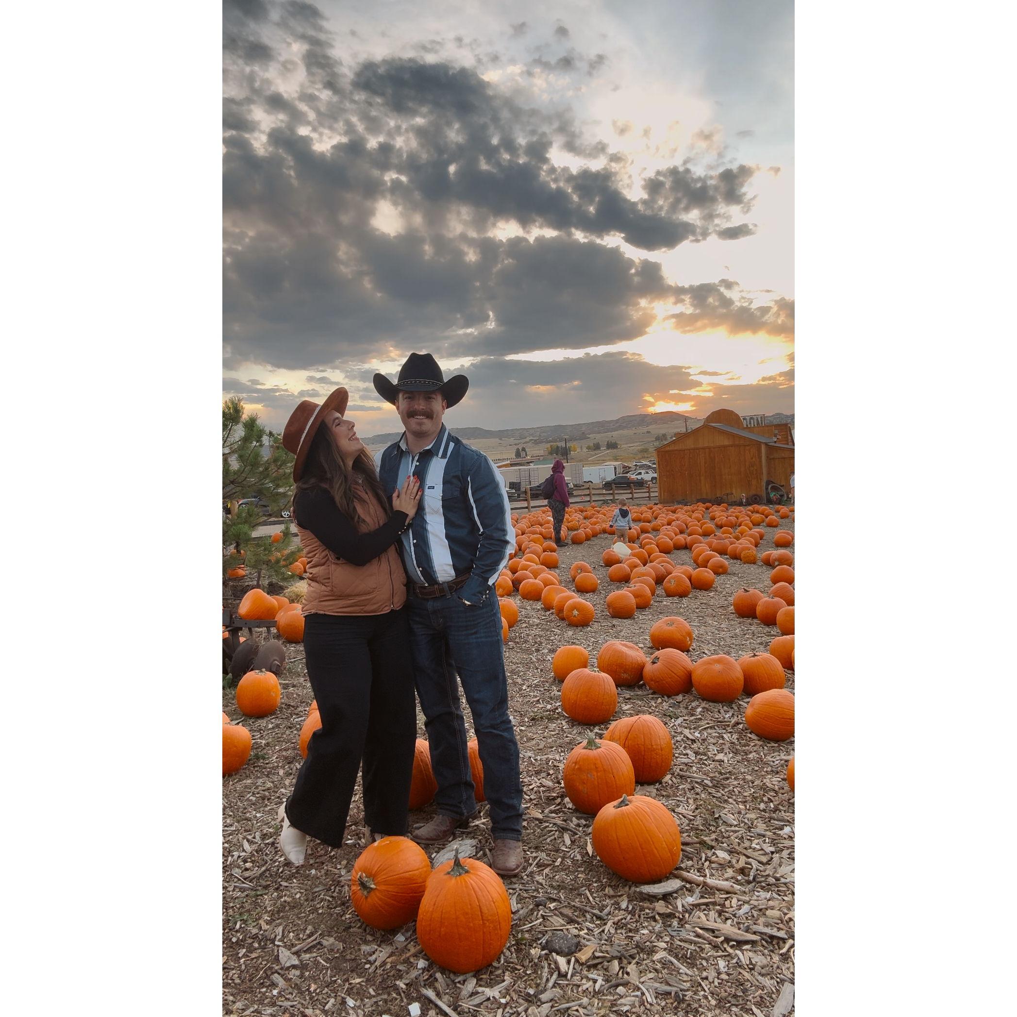 Pumpkin patch fun!