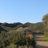 Will Rogers State Park